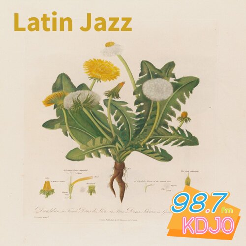 Latin Jazz